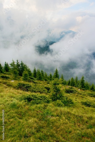 Parâng Mountains - Romania