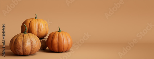 Contemporary Fall Banner with a collection of Pumpkins on Warm Brown background. photo