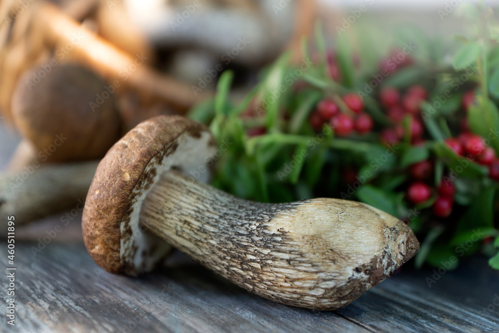 Collected mushrooms and berries in a basket at the end of summer. Collected mushrooms and berries in a basket at the end of summer.