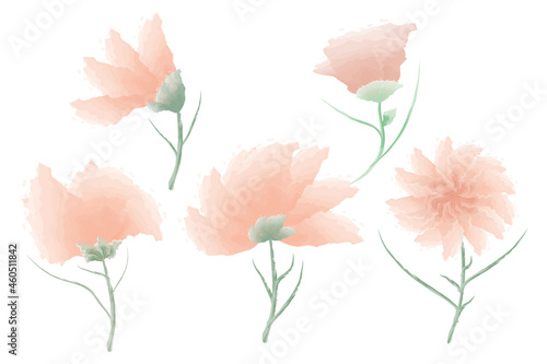 watercolor flower illustration  clipart