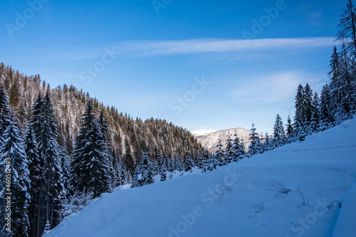 winter day in the alps of Friuli Venezia-Giulia