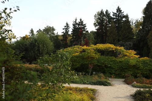 Park, jesień, Żelazowa Wola, liście