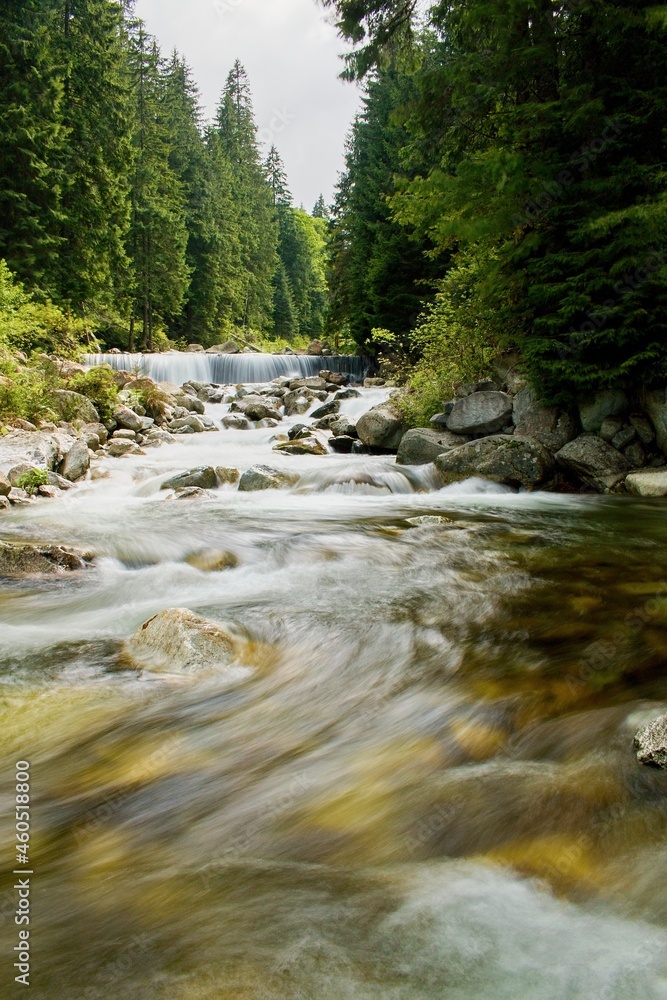 Obraz premium Retezat Mountains - Romania