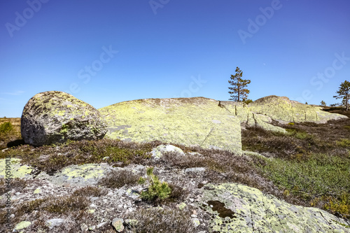 Fototapeta Naklejka Na Ścianę i Meble -  rocks in the mountains  Blefjell, Lortebu, Norway.