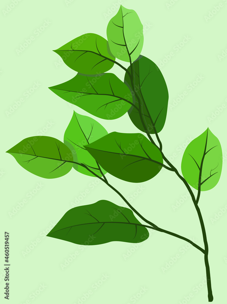 Green branches on a light background. Vector flat illustration. Flora in light green tones. Design for posters, backgrounds, templates, postcards, textiles, menus, banners. Green branches on a light background. Vector flat illustration. Flora in light green tones. Design for posters, backgrounds, templates, postcards, textiles, menus, banners.