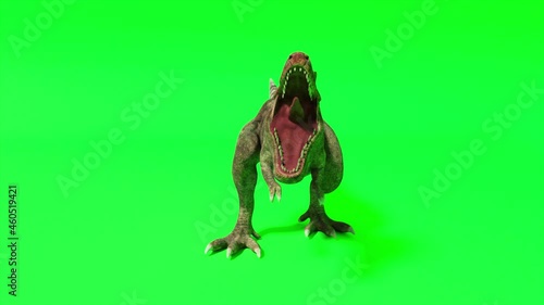 Tyrannosaurus dinosaur species. Trenosaurus screams and ready to attack. Green screen chromakey. Seamless loop 3d render photo