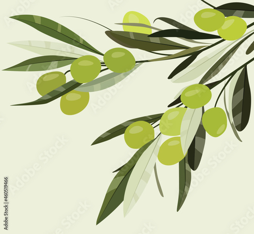 Vector flat illustration. Green olives on a branch with leaves. Organic product. Design for cards, posters, backgrounds, templates, textiles, menus, banners, t-shirts, backgrounds.