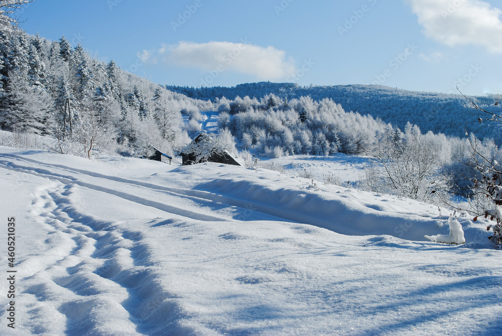 Winter mountain landscape on a sunny day, Beskids, Poland