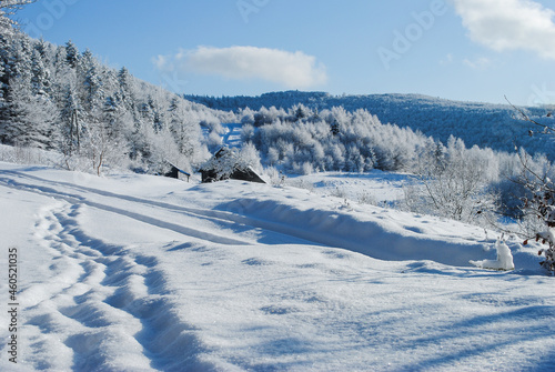 Winter mountain landscape on a sunny day, Beskids, Poland © MateuszKuca