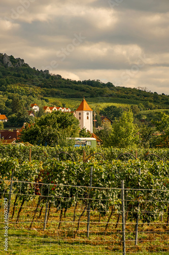 clock tower in a small town in the Czech Republic, vineyard, beautiful Czech landscape, grape harvest, hills in southern moravia in perna © Miriam