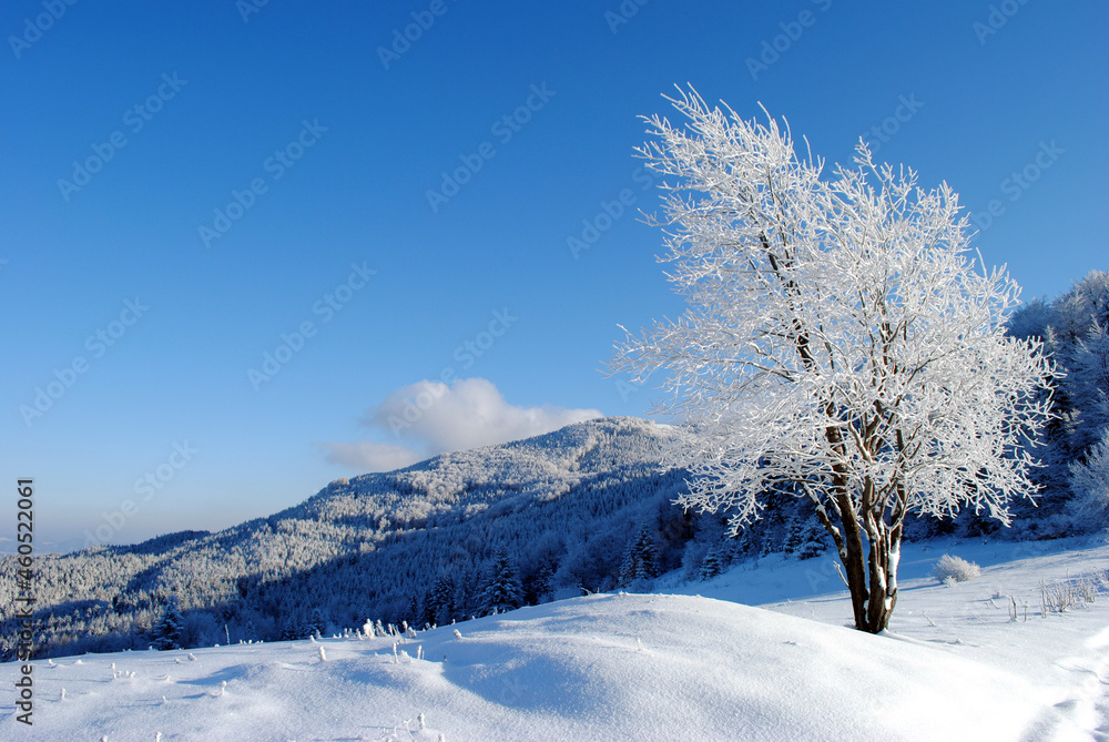 Winter mountain landscape on a sunny day, Beskids, Poland Winter mountain landscape on a sunny day, Beskids, Poland