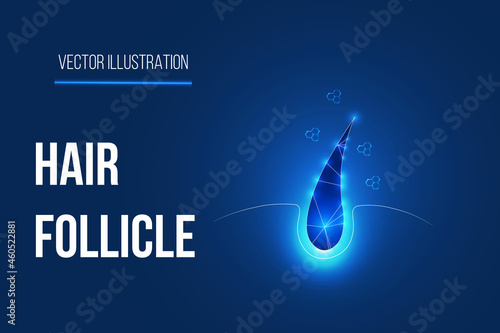 hair follicle concept design with dark blue background vector. photo