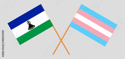 Crossed flags of Kingdom of Lesotho and transgender pride. Official colors. Correct proportion