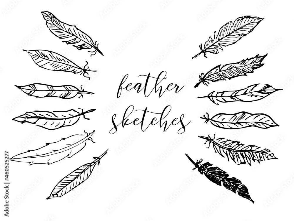 Obraz premium Feather sketches set, ornament from bird wing hand drawn in pencil, ink or pen, quills
