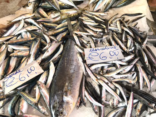 Fisch on display in a market in Sicily, Italy
