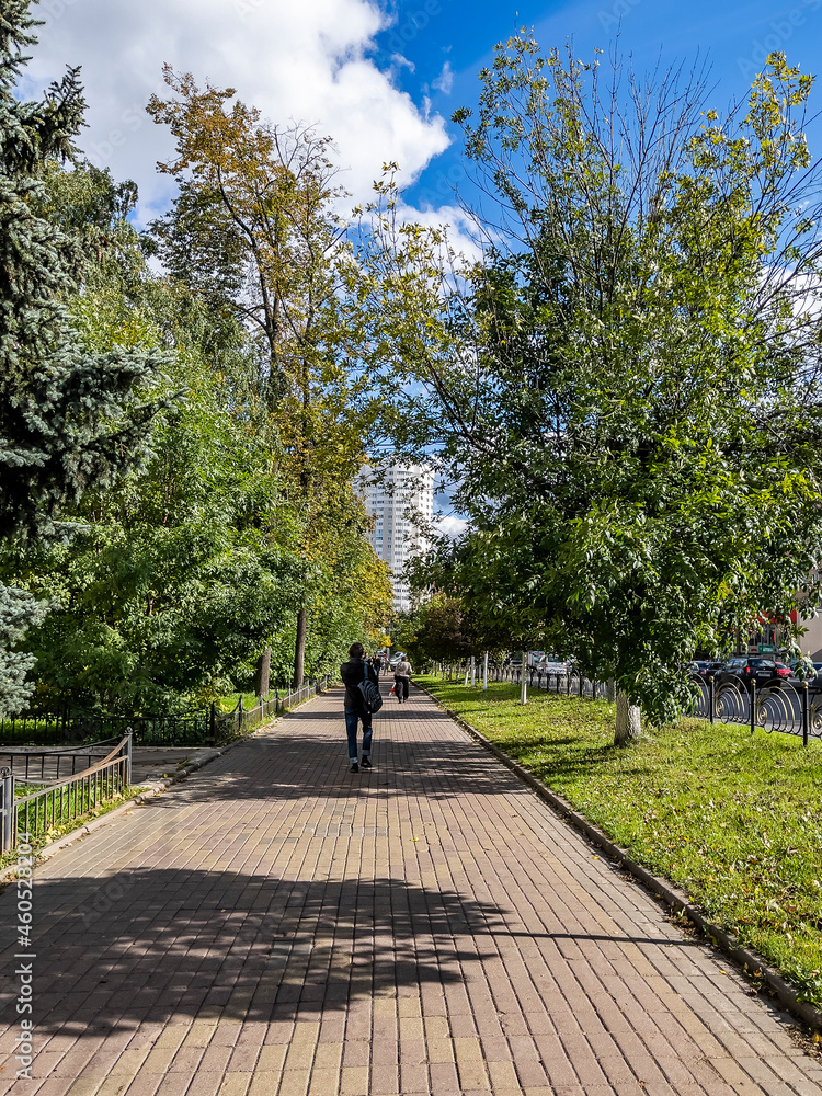 Fototapeta premium A picturesque alley in the fall in the park 