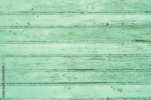 Wallpaper Mural helles grünes Holz als Hintergrund  Torontodigital.ca