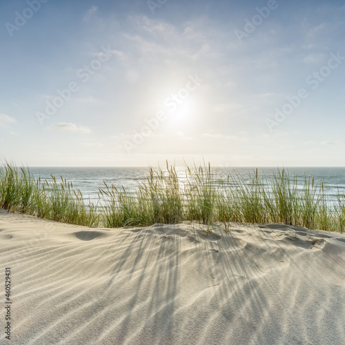 Sunny day at the dune beach photo