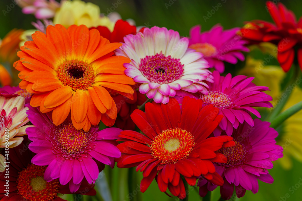 bouquet of flowers bouquet of flowers