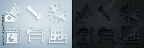 Set Stretcher, Joint pain, knee pain, Elevator for disabled, Medical hospital building, Prosthesis leg and Guide dog icon. Vector