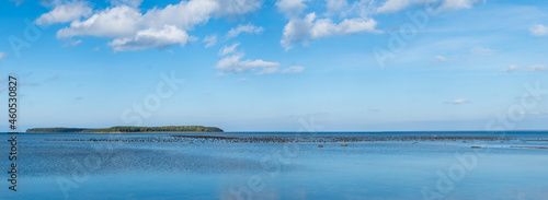 Ducks flying over the sea in autumn. Huge duck flocks forming during bird migration season in Northern Europe.