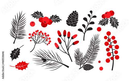 Christmas vector plants, holly winter decor, fir and pine tree, berry and leaves branches, holiday set isolated on white background. Red and black colors. Vintage nature illustration