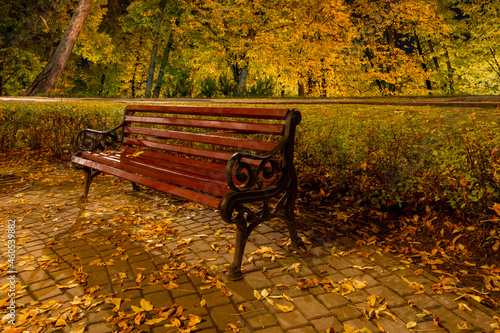 Bench in the park during the autumn season at night. Night scene in city park with yellow orange leaves