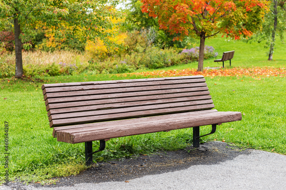 Autumn scenery in local public park after rain. Bench and trees with fallen colored leaves in the background