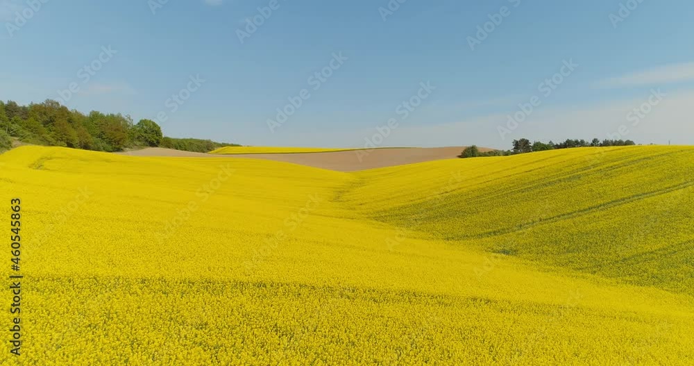 Aerial View of Various Agriculture Fields Blooming. Rural Countryside Scene. Aerial View of Various Agriculture Fields Blooming. Rural Countryside Scene.