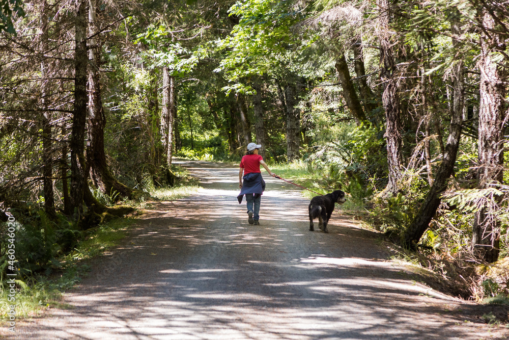 Middle aged woman walking dog, bernadoodle, happy dog, leash, afternoon walk.