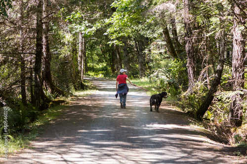 Middle aged woman walking dog, bernadoodle, happy dog, leash, afternoon walk.
