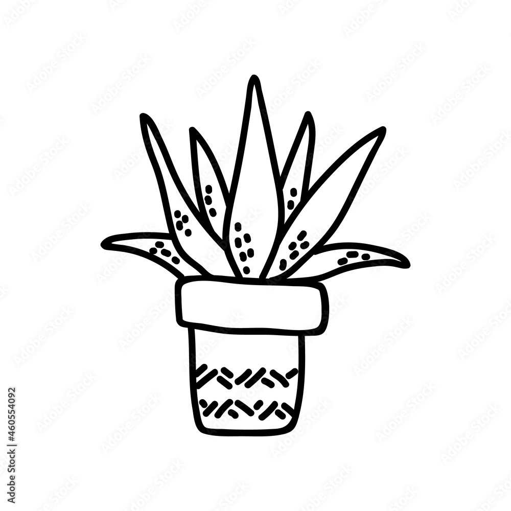 Single hand drawn succulent. Vector illustration in doodle style. Isolate on a white background. Single hand drawn succulent. Vector illustration in doodle style. Isolate on a white background.