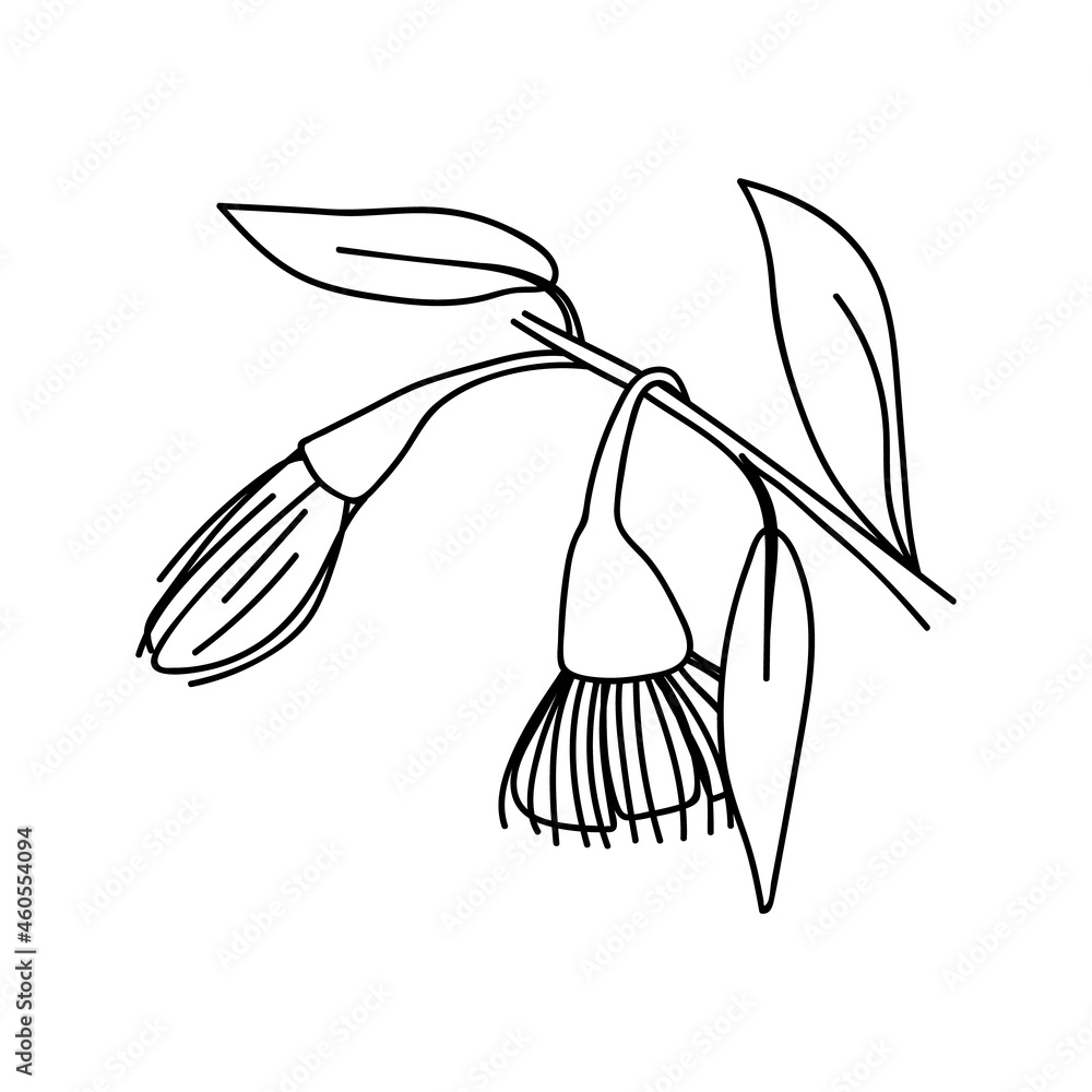 Fototapeta premium Single hand drawn twig with flower. Vector illustration in doodle style. Isolate on a white background.