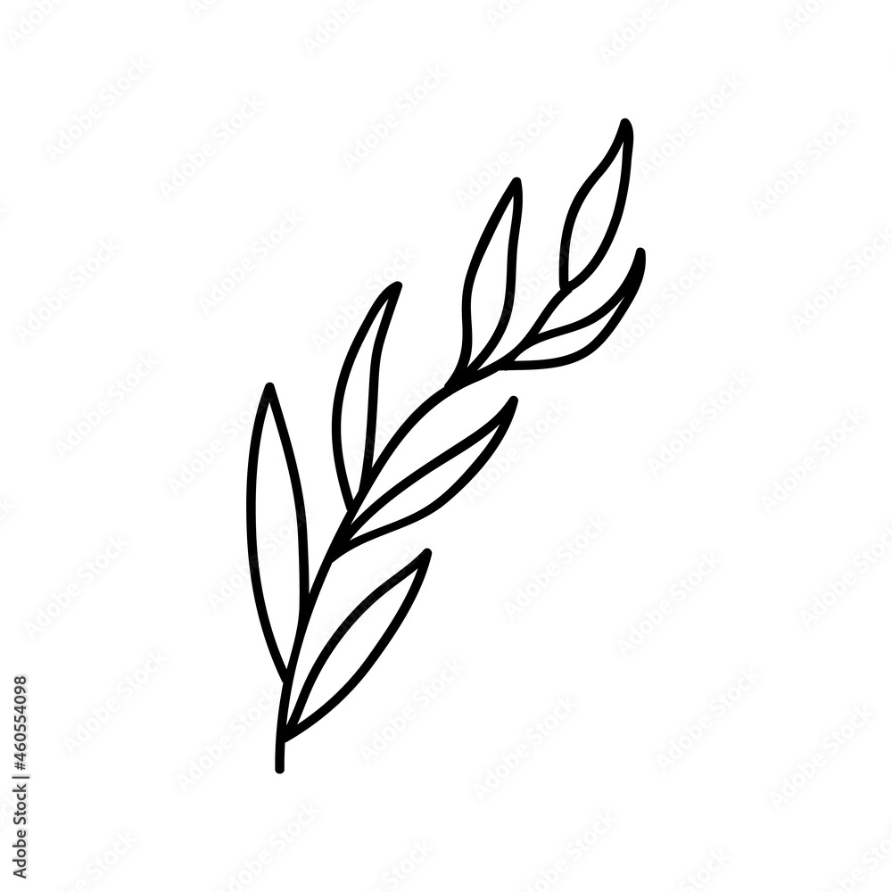 Single hand drawn twig. Vector illustration in doodle style. Isolate on a white background. Single hand drawn twig. Vector illustration in doodle style. Isolate on a white background.