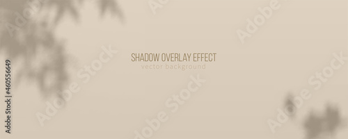 Beige background for product display. Shadow of plants on background. Vector illustration.