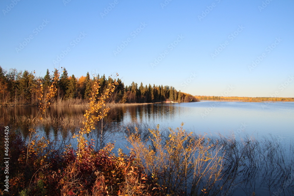 Calm October In The Bay, Elk Island National Park, Alberta