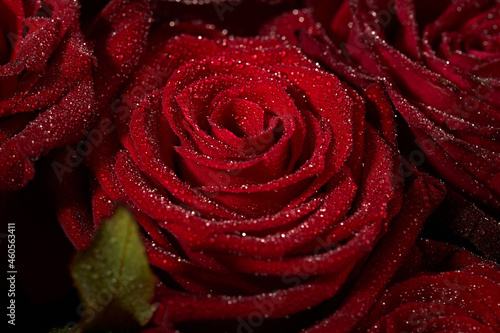 Fototapeta Naklejka Na Ścianę i Meble -  Red roses. Bouquet of flowers.