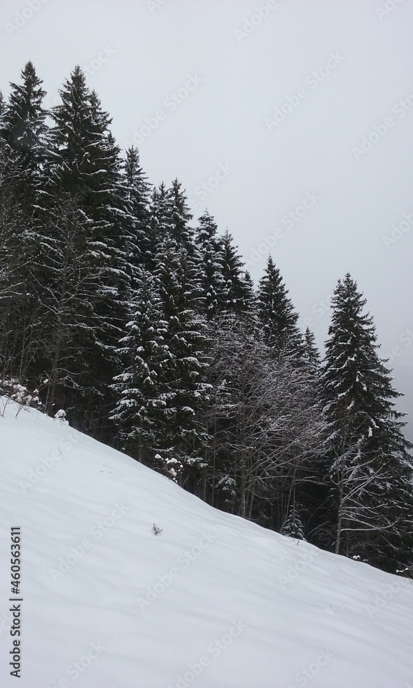 winter alps