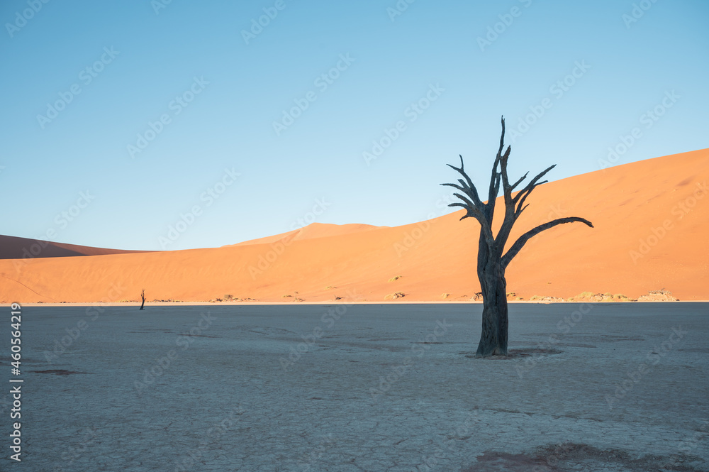 The desert landscape of Namibia, the natural landscape of Africa, located in Sossusvlei, Namibia.