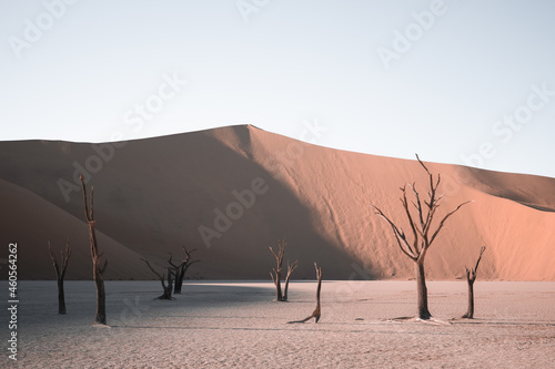 Beautiful natural landscape of Namib Desert. The region with the lowest population density in the world. A popular tourist country and destination in Africa, Namibia.