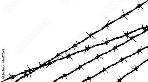 Barb Wire