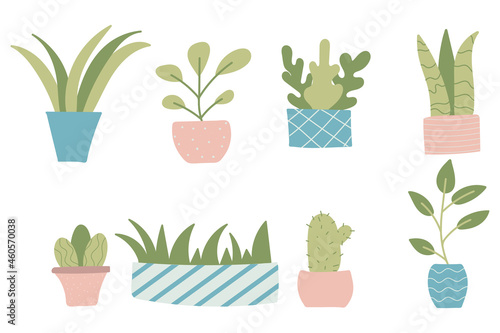 Hand-drawn set of houseplants in pots. Houseplants set. The set is suitable for sticks, prints, posters.
