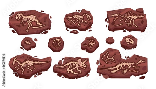 Dinosaur fossil. Cartoon paleontology excavation with prehistoric Jurassic dino skeletons set. Isolated predator lizard bones in ground. Vector archeology collection of extinct reptiles