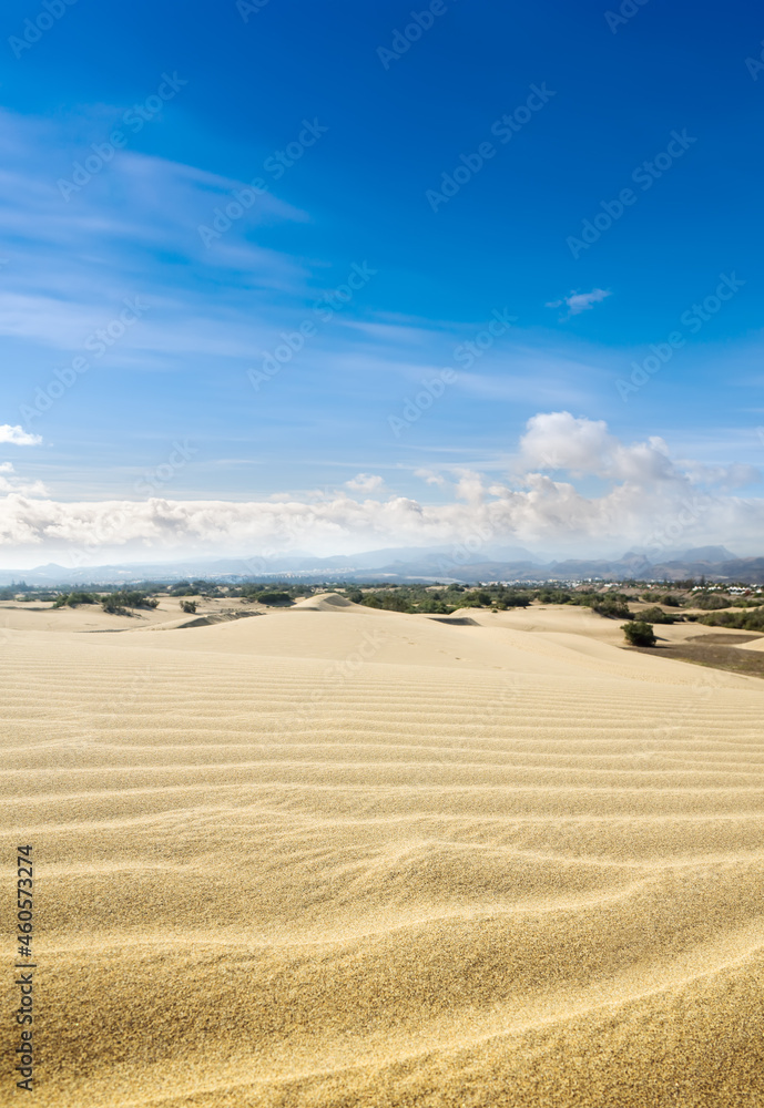 Blue sky and sand dunes. Sunny day.
