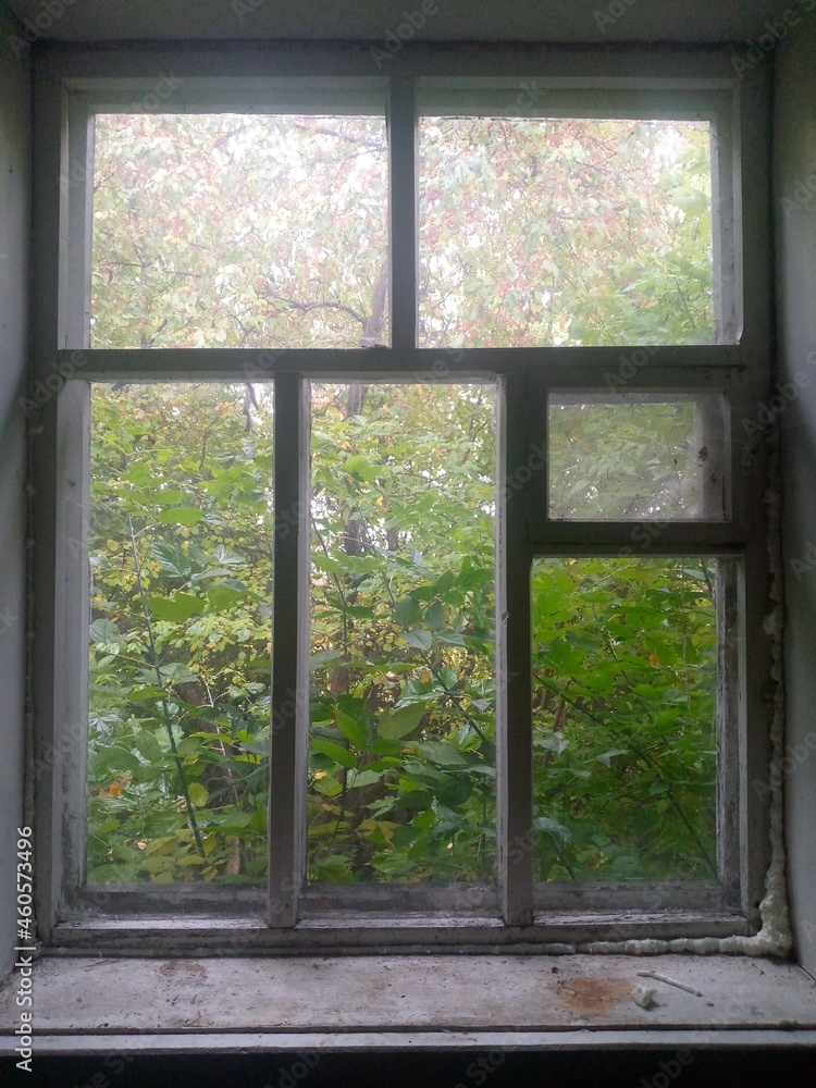 Fototapeta premium window in the house