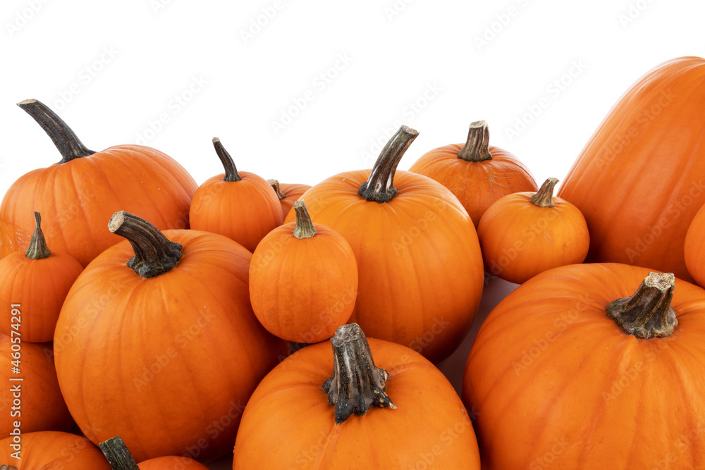 Many orange pumpkins on white Many orange pumpkins on white