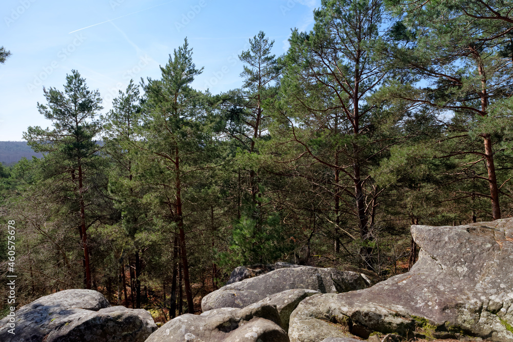 Denecourt hiking path numbuer 4 and Saint-Germain rock in Fontainebleau forest