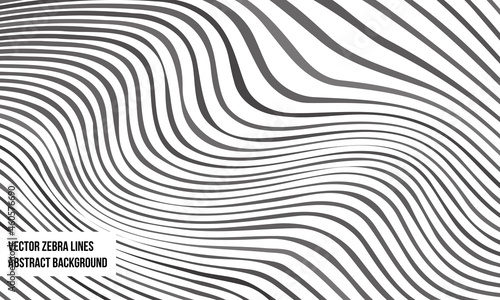 abstract corrugated zebra lines curves black and white waves design background