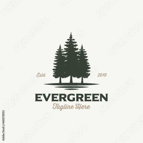 Rustic Retro Vintage Woodland, Evergreen, Pines, Spruce, Cedar trees logo design