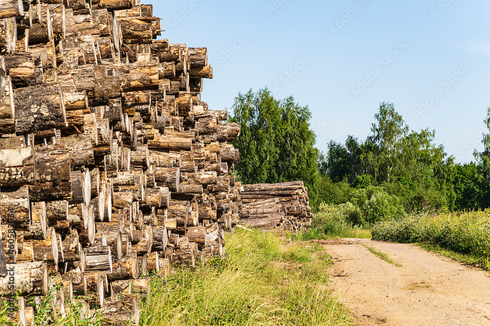 stack of logs during logging